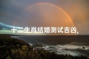 十二生肖结婚测试吉凶,十二生肖婚配吉凶大揭秘：测测你的婚姻运势