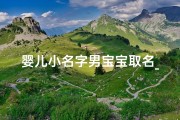 婴儿小名字男宝宝取名_婴儿小名字男宝宝取名大全