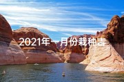 2021年一月份栽种吉日-2025年1月种树吉日：绿色未来，播种希望