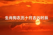 生肖狗农历十月吉凶时辰(《狗年十月吉凶时辰揭秘：运势高峰时刻》)