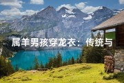 属羊男孩穿龙衣：传统与现代的交融之美