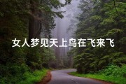 女人梦见天上鸟在飞来飞去—梦见天上的鸟向自己飞来