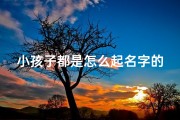 小孩子都是怎么起名字的