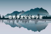 取名字龙宝宝怀字辈
