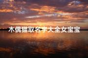 木偶猫取名字大全女宝宝(2025年布偶猫名字大全)
