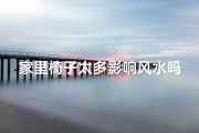 家里椅子太多影响风水吗