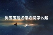 男宝宝起名字姓何怎么起