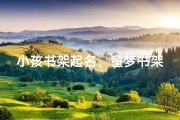 小孩书架起名、童梦书架：孩子的知识乐园