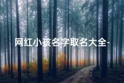 网红小孩名字取名大全-十大网红小孩