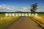 曹姓猪宝宝起名字大全-曹姓女孩取名猪年