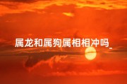 属龙和属狗属相相冲吗_属龙与属狗相合吗