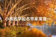 小孩名字起名带家寓意—《宝贝家缘：温馨寓意，幸福起名之旅》