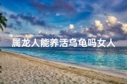 属龙人能养活乌龟吗女人(属龙的不适合养乌龟吗)