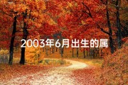 2003年6月出生的属什么—《2003年六月命格揭秘：探寻你的命运之谜》