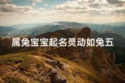 属兔宝宝起名灵动如兔五行取名指南