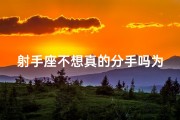 射手座不想真的分手吗为什么