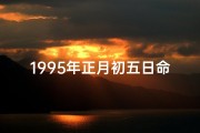 1995年正月初五日命格—1995年正月初五五行属什么