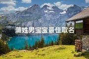 蒲姓男宝宝最佳取名