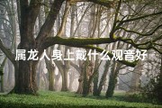 属龙人身上戴什么观音好