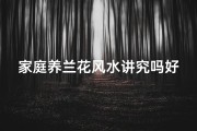 家庭养兰花风水讲究吗好吗—家庭养兰花风水讲究多，如何布局旺运？