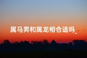 属马男和属龙相合适吗_属马男人和属龙的女人好不好