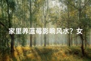 家里养蓝莓影响风水？女主人揭秘家居风水新奥秘