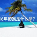 16年的猴是什么命？-《猴年生肖揭秘：16年属猴者的独特命格》