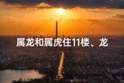 属龙和属虎住11楼、龙虎11楼：共筑非凡家园