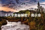 《八字奥秘解密：揭示命运密码的智慧之书》