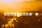 张姓虎宝宝取名热潮：哪些名字带火？