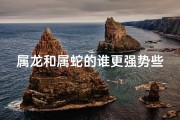 属龙和属蛇的谁更强势些—属龙和属蛇区别