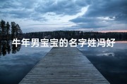 牛年男宝宝的名字姓冯好吗—冯姓属牛男宝宝满分小名