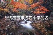 张龙宝宝取名四个字的名字有哪些、《张龙宝宝萌动，四字佳名闪耀新生》