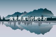 属龙和属马的和不和
