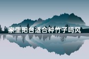 家里阳台适合种竹子吗风水_阳台可以种竹子的风水