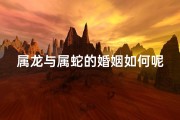 属龙与属蛇的婚姻如何呢(属龙和属蛇的婚姻怎么样)