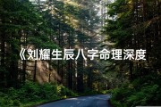 《刘耀生辰八字命理深度解析：揭秘命运之谜》