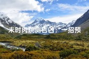 未时肉跳测吉凶：一招预知命运转折