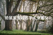 给鼠宝宝起名字大全集女孩(属鼠女孩寓意好的名字大全)