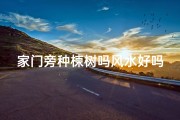 家门旁种楝树吗风水好吗视频,家门旁种楝树风水到底好吗？