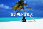 陈姓男小孩起名