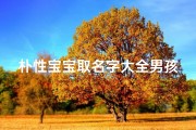 朴性宝宝取名字大全男孩(80个男孩名字大全,男孩名字简单大方洋气)