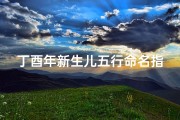丁酉年新生儿五行命名指南，生辰八字补救技巧