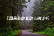 《周易卦辞爻辞吉凶详析图解大全》
