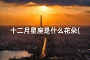 十二月星座是什么花朵(十二星座的代表花是是什么 )