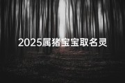 2025属猪宝宝取名灵感大揭秘施姓宝贝取名指南！