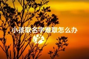 小孩取名字难取怎么办