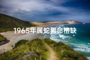 1965年属蛇男命格缺什么(1965年属蛇男命格缺什么？揭秘运势短板)