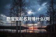 给宝宝起名刘博什么(刘博橙这个名字怎么样)