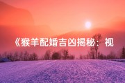 《猴羊配婚吉凶揭秘：视频大全深度解析》